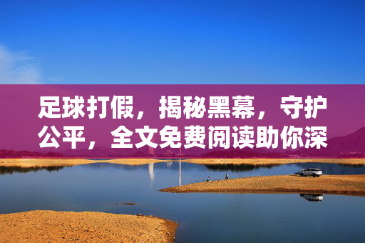 足球打假，揭秘黑幕，守护公平，全文免费阅读助你深度理解