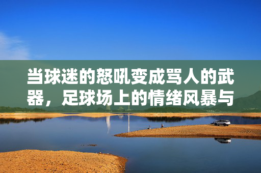 当球迷的怒吼变成骂人的武器，足球场上的情绪风暴与我们的反思