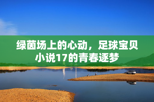绿茵场上的心动，足球宝贝小说17的青春逐梦