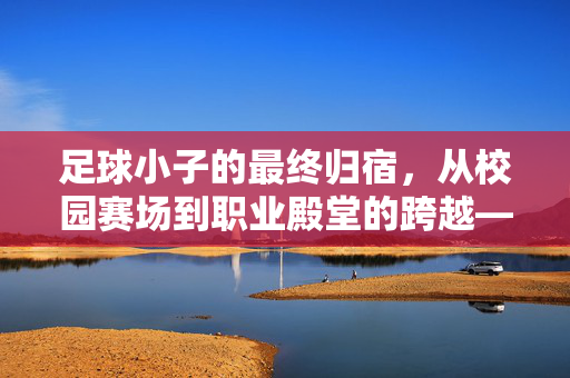 足球小子的最终归宿，从校园赛场到职业殿堂的跨越——解读足球小子主角的传奇人生
