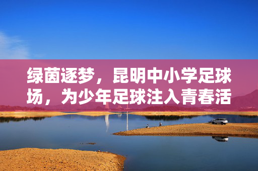 绿茵逐梦，昆明中小学足球场，为少年足球注入青春活力
