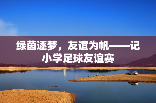 绿茵逐梦，友谊为帆——记小学足球友谊赛