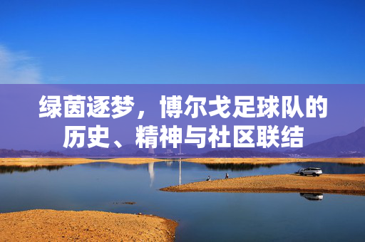 绿茵逐梦，博尔戈足球队的历史、精神与社区联结