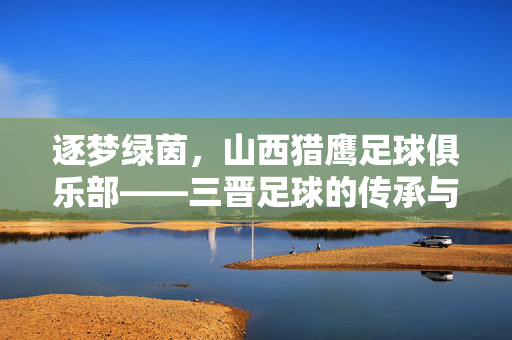 逐梦绿茵，山西猎鹰足球俱乐部——三晋足球的传承与希望