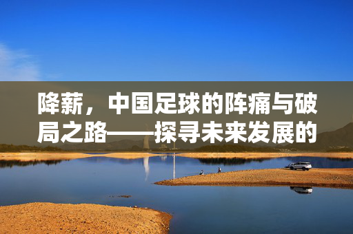 降薪，中国足球的阵痛与破局之路——探寻未来发展的关键变量