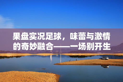 果盘实况足球，味蕾与激情的奇妙融合——一场别开生面的游戏派对，果盘实况足球，味蕾与激情的奇妙融合——一场别开生面的游戏派对