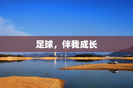 足球，伴我成长