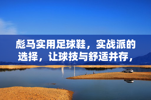 彪马实用足球鞋，实战派的选择，让球技与舒适并存，彪马实用足球鞋，实战派的选择，让球技与舒适并存