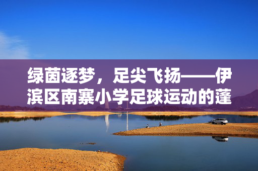 绿茵逐梦，足尖飞扬——伊滨区南寨小学足球运动的蓬勃发展，绿茵逐梦，足尖飞扬——伊滨区南寨小学足球运动的蓬勃发展