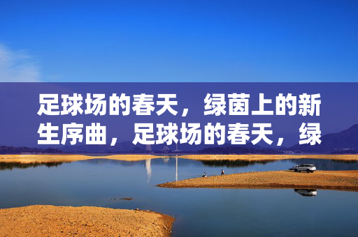 足球场的春天，绿茵上的新生序曲，足球场的春天，绿茵上的新生序曲