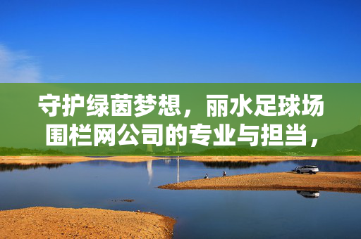 守护绿茵梦想，丽水足球场围栏网公司的专业与担当，守护绿茵梦想，丽水足球场围栏网公司的专业与担当