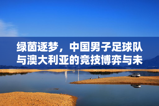 绿茵逐梦，中国男子足球队与澳大利亚的竞技博弈与未来发展思考