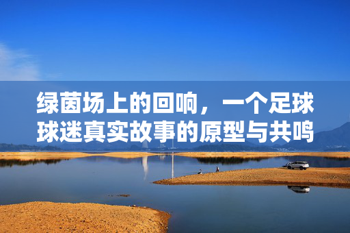 绿茵场上的回响，一个足球球迷真实故事的原型与共鸣，绿茵场上的回响，一个足球球迷真实故事的原型与共鸣