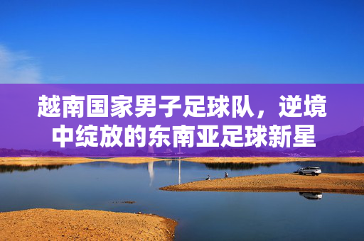 越南国家男子足球队，逆境中绽放的东南亚足球新星