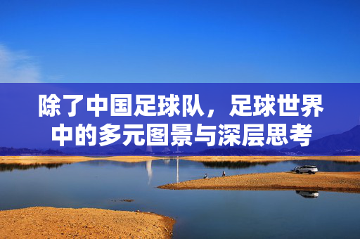 除了中国足球队，足球世界中的多元图景与深层思考