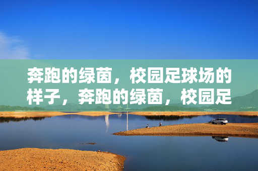 奔跑的绿茵，校园足球场的样子，奔跑的绿茵，校园足球场的活力图景