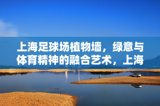 上海足球场植物墙，绿意与体育精神的融合艺术，上海足球场植物墙，绿意与体育精神的融合艺术