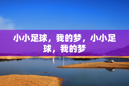 小小足球，我的梦，小小足球，我的梦