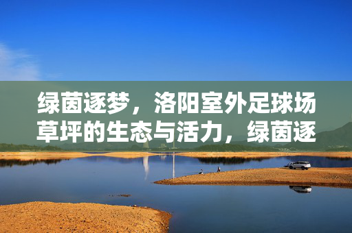 绿茵逐梦,洛阳室外足球场草坪的生态与活力,绿茵逐梦,洛阳室外足球场草坪的生态与活力