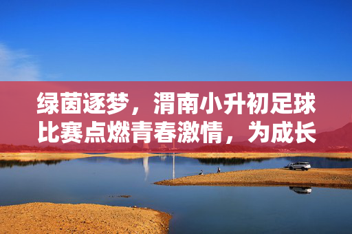 绿茵逐梦，渭南小升初足球比赛点燃青春激情，为成长注入活力
