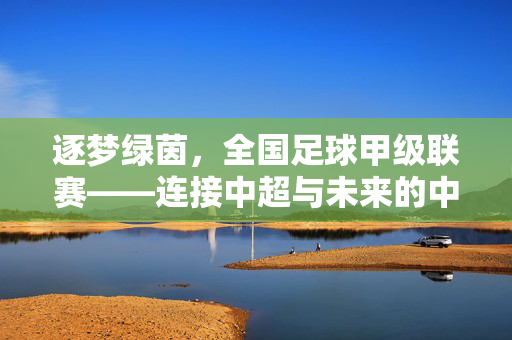 逐梦绿茵，全国足球甲级联赛——连接中超与未来的中坚力量，逐梦绿茵，全国足球甲级联赛——连接中超与未来的中坚力量