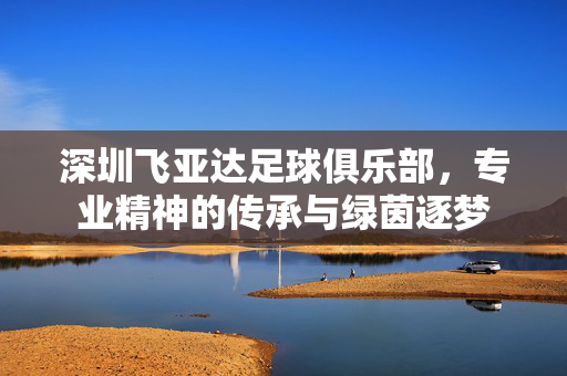 深圳飞亚达足球俱乐部，专业精神的传承与绿茵逐梦