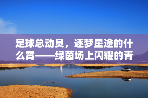 足球总动员，逐梦星途的什么霄——绿茵场上闪耀的青春光芒与团队荣光