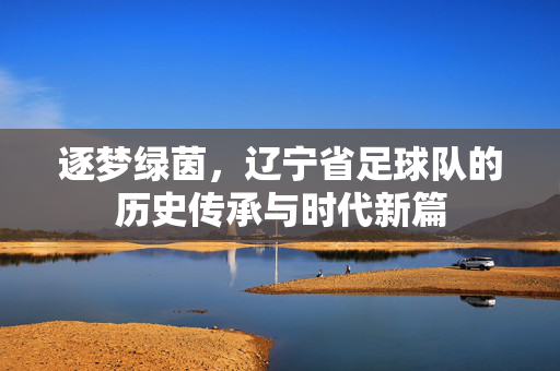 逐梦绿茵，辽宁省足球队的历史传承与时代新篇