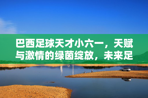 巴西足球天才小六一，天赋与激情的绿茵绽放，未来足球的璀璨希望，巴西足球天才小六一，天赋与激情的绿茵绽放，未来足球的璀璨希望