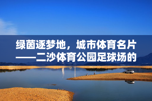 绿茵逐梦地,城市体育名片——二沙体育公园足球场的活力与温度,绿茵逐梦地,城市体育名片——二沙体育公园足球场的活力与温度