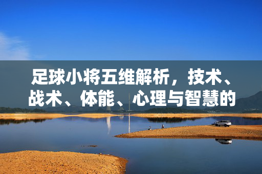 足球小将五维解析，技术、战术、体能、心理与智慧的多维成长叙事