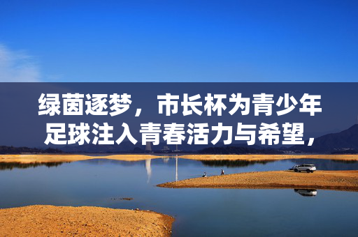 绿茵逐梦,市长杯为青少年足球注入青春活力与希望,绿茵逐梦,市长杯为青少年足球注入青春活力与希望
