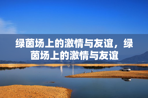 绿茵场上的激情与友谊，绿茵场上的激情与友谊