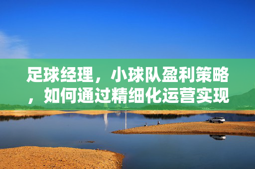 足球经理,小球队盈利策略,如何通过精细化运营实现可持续收益?足球经理小球队,通过精细化运营实现可持续收益的策略解析