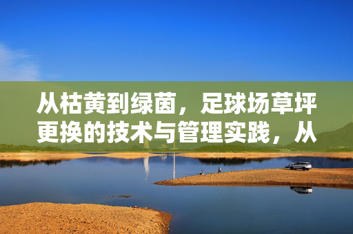从枯黄到绿茵，足球场草坪更换的技术与管理实践，从枯黄到绿茵，足球场草坪更换的技术与管理实践