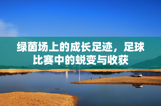 绿茵场上的成长足迹，足球比赛中的蜕变与收获