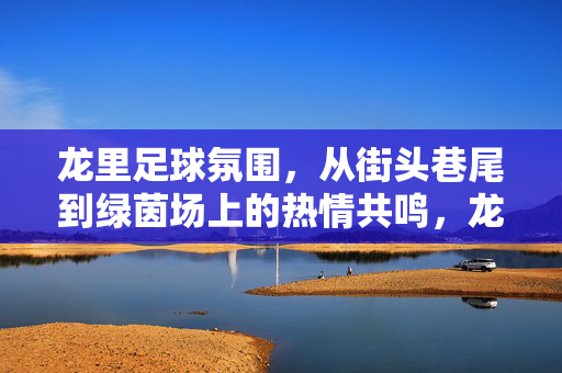 龙里足球氛围，从街头巷尾到绿茵场上的热情共鸣，龙里足球氛围，从街头巷尾到绿茵场上的热情共鸣