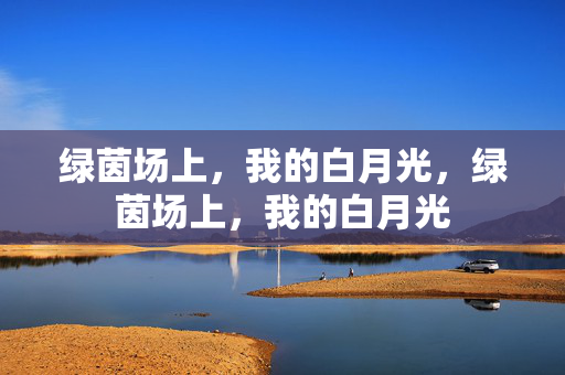 绿茵场上，我的白月光，绿茵场上，我的白月光