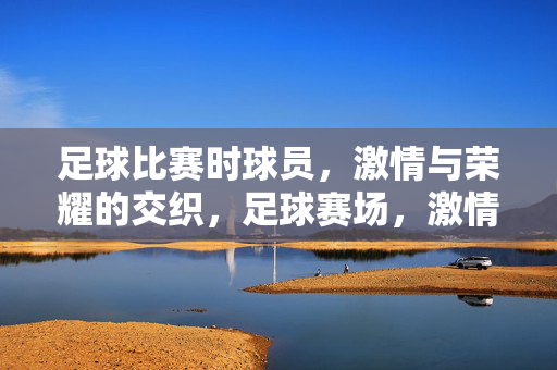 足球比赛时球员,激情与荣耀的交织,足球赛场,激情与荣耀的交织