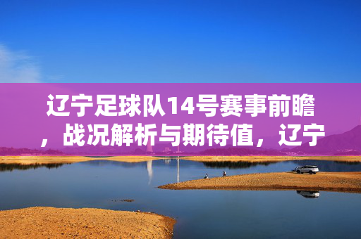 辽宁足球队14号赛事前瞻，战况解析与期待值，辽宁足球队14号赛事前瞻，战况解析与期待值