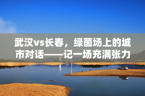 武汉vs长春，绿茵场上的城市对话——记一场充满张力的足球对决