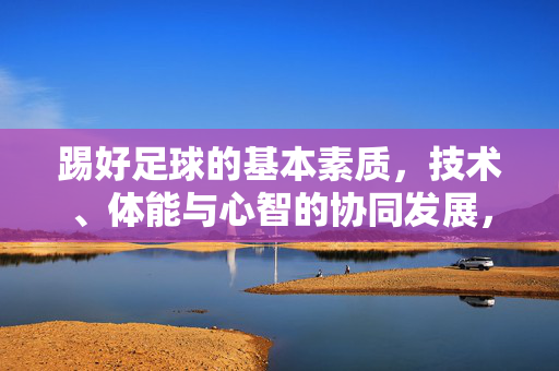 踢好足球的基本素质，技术、体能与心智的协同发展，踢好足球的基本素质，技术、体能与心智的协同发展