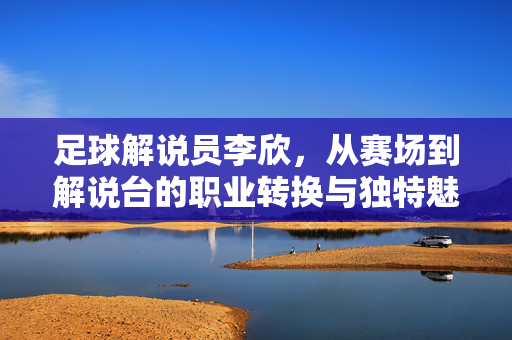 足球解说员李欣，从赛场到解说台的职业转换与独特魅力——一位用激情与专业诠释足球的解说大家