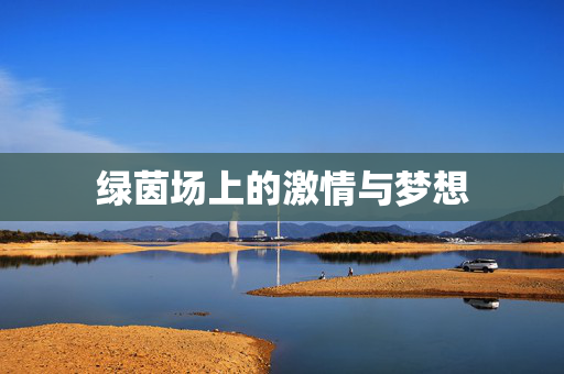 绿茵场上的激情与梦想