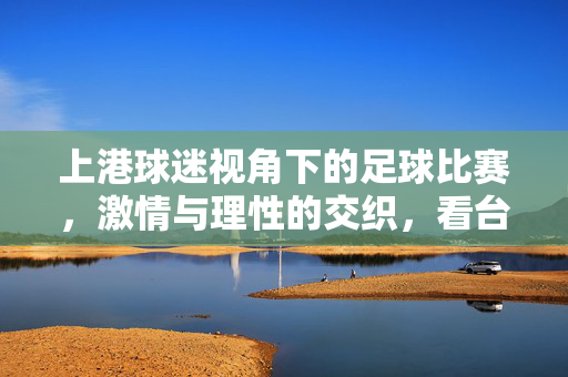 上港球迷视角下的足球比赛，激情与理性的交织，看台上的声浪如何定义赛场荣光，上港球迷视角，激情与理性的交织，看台声浪如何定义赛场荣光