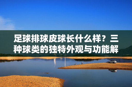 足球排球皮球长什么样？三种球类的独特外观与功能解析，足球排球皮球长什么样？三种球类的独特外观与功能解析