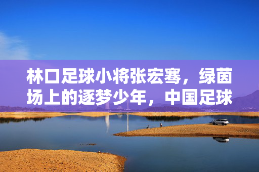 林口足球小将张宏骞，绿茵场上的逐梦少年，中国足球的希望之光，林口足球小将张宏骞，绿茵场上的逐梦少年，中国足球的希望之光