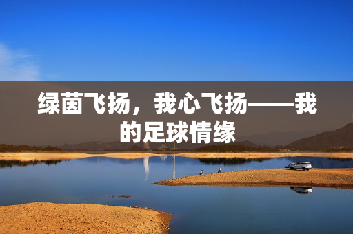 绿茵飞扬，我心飞扬——我的足球情缘
