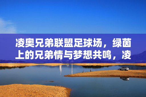 凌奥兄弟联盟足球场，绿茵上的兄弟情与梦想共鸣，凌奥兄弟联盟足球场，绿茵上的兄弟情与梦想共鸣