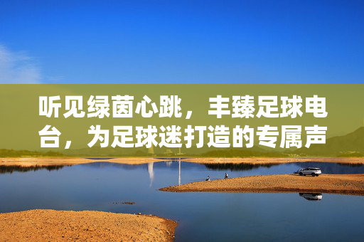 听见绿茵心跳，丰臻足球电台，为足球迷打造的专属声音空间，听见绿茵心跳，丰臻足球电台，为足球迷打造的专属声音空间
